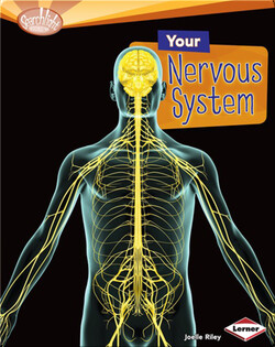 Your Nervous System