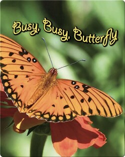 Busy, Busy Butterfly (BBK)