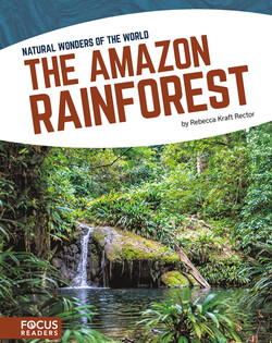 The Amazon Rainforest
