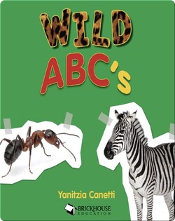 Wild ABC's