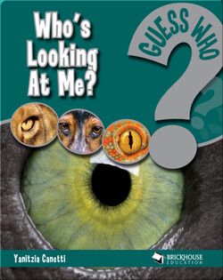 Who's Looking At Me?
