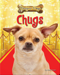 Chugs