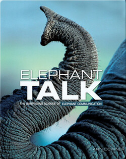 Elephant Talk: The Surprising Science of Elephant Communication