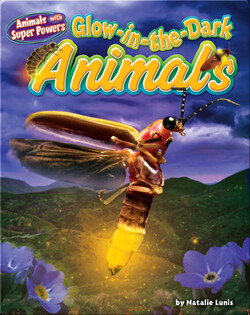 Glow-in-the-Dark Animals