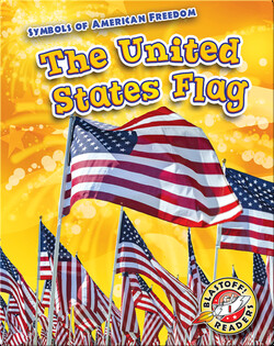 The United States Flag