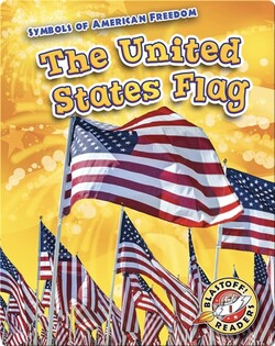 The United States Flag
