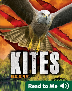 Kites