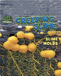 Creeping Slime: Slime Molds