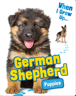German Shepherd Puppies