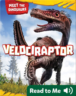Velociraptor
