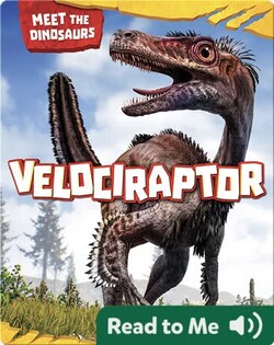 Velociraptor
