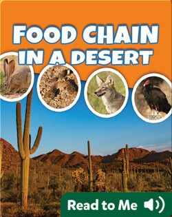 Food Chain In A Desert