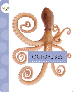 Octopuses