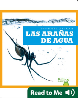 Las arañas de agua