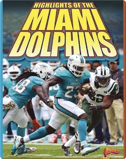 Highlights of the Miami Dolphins