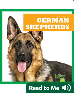 German Shepherds