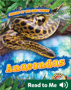Anacondas