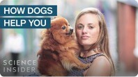 What Having A Dog Does To Your Brain And Body
