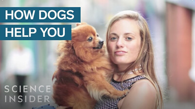 What Having A Dog Does To Your Brain And Body