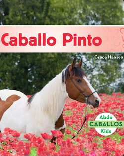 Caballo Pinto