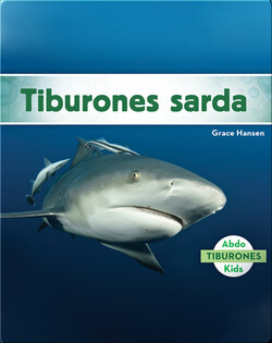 Tiburones sarda