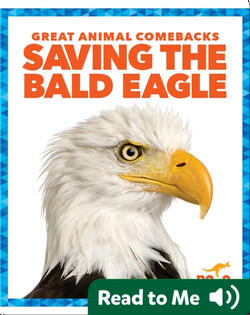 Saving the Bald Eagle