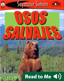 Osos Salvajes