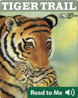 Tiger Trail