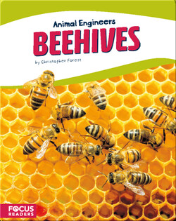 Animal Engineers: Beehives