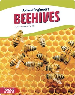 Animal Engineers: Beehives