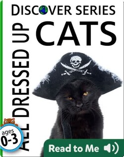 Cats: All Dressed Up