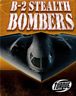B-2 Stealth Bombers