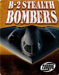 B-2 Stealth Bombers