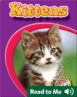 Kittens: Watch Animals Grow