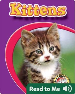 Kittens: Watch Animals Grow