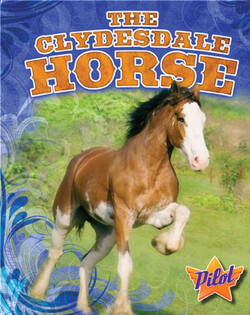 The Clydesdale Horse