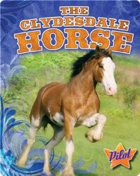 The Clydesdale Horse