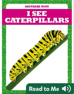 I See Caterpillars