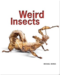 Weird Insects