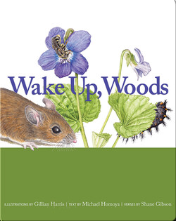 Wake Up, Woods