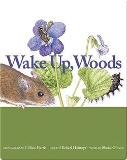 Wake Up, Woods