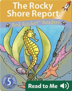The Rocky Shore Report