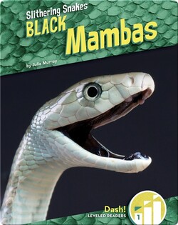 Black Mambas