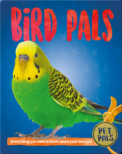 Bird Pals