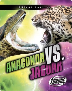 Animal Battles: Anaconda vs. Jaguar