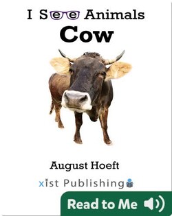 I See Animals: Cow