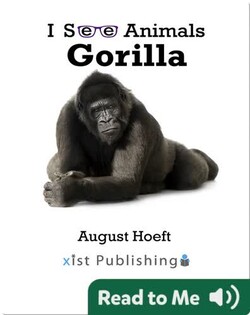 I See Animals: Gorilla
