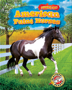 Saddle Up!: American Paint Horses