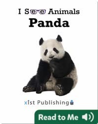 I See Animals: Panda