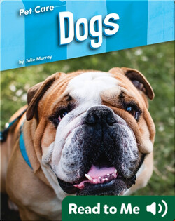 Pet Care: Dogs
